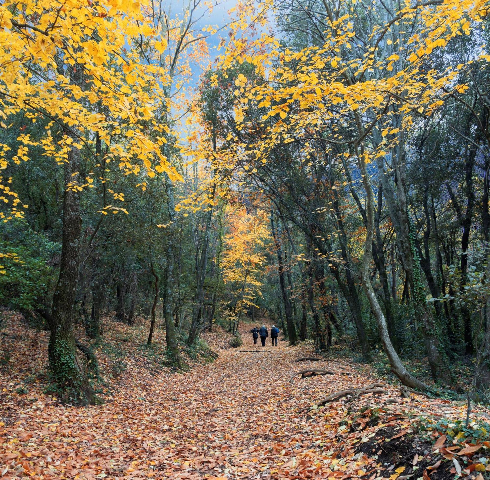 Rincon De Piedra Bcn Ξενοδοχείο Corro de Vall Εξωτερικό φωτογραφία