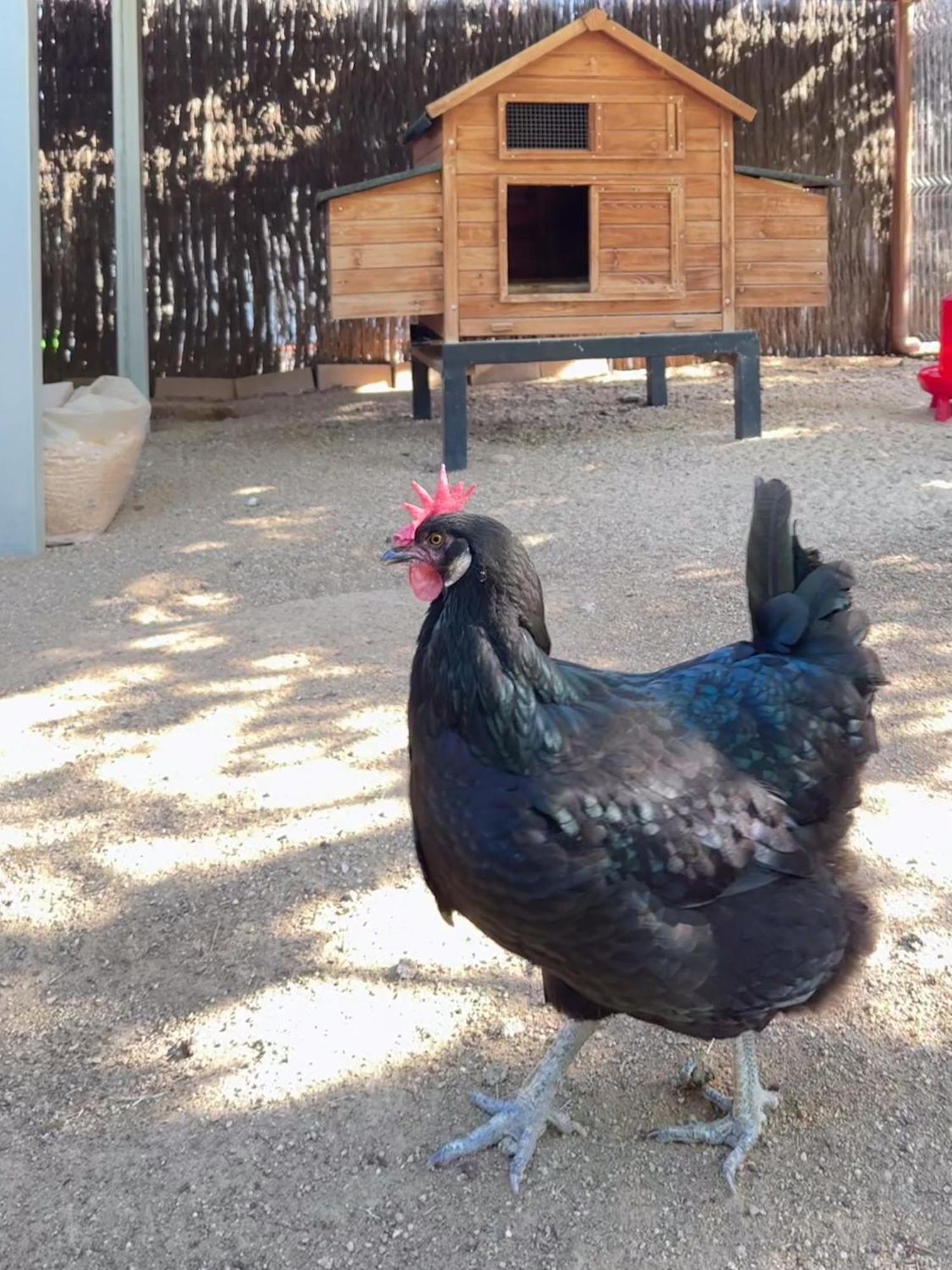 Rincon De Piedra Bcn Ξενοδοχείο Corro de Vall Εξωτερικό φωτογραφία
